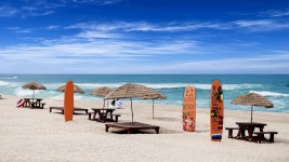 가톨릭관동대 해양치유레저학과, 동해안 해양자원 기반 ‘미래형 전문 인력 양성’ 앞장