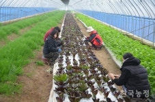 농사교육 넘어 농촌교육 추구하는 농장 목표