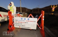 1년 채 못 버티고 구제역 재발 충북 보은 확진에 전북 정읍 의심신고