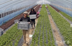 어설퍼도 시작이 반이다