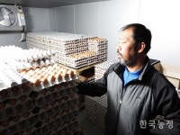 획일적 살처분 거부, 방역정책에 근본 의문 던지다