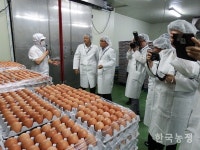 가금산물 자체품질평가제 시범사업 개시