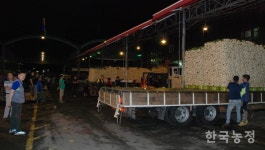 가락시장 총각무 하차거래, 파행은 면했지만 …