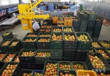 농산물 유통, 농협이 책임져야