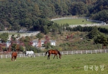 말산업 발전의 요람, 장수렛츠런팜