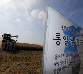한반도 평화는 통일쌀로!
