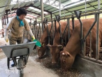 농협사료, 할인판매 6개월 연장