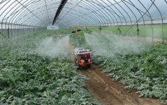 [농기자재 중소기업 탐방 ①] 세계 최초 복숭아 적화기, ㈜케이보배