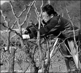 땅살림농부마트 | 이 땅의 농부 195