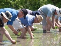 당신의 길이 우리의 길입니다