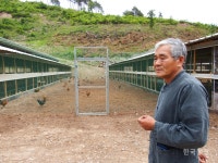 동물복지유정란 농장서 싹트는 지속가능한 농촌의 꿈