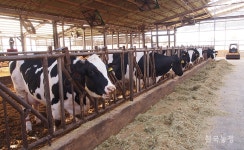 사료 안전관리 강화, 축산농가 걱정 덜어줄까