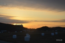 농민소외 호조벌 보전사업