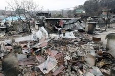 하우스·볍씨·트랙터 다 탔는데 … 농사지을 기력이 있겠나