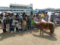 올해 경기도 말산업정책 어떻게 진행되나