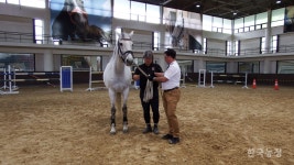 까다로운 승용마 조련, 이렇게 배운다