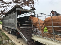 추석 한우선물세트가 우리집에 오는 길