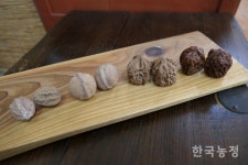 귀족호도, 희로애락 함께하는 나만의 애장품