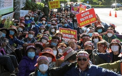마늘투쟁 선봉 제주, 도 자체수매 이끌어내