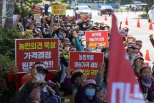 마늘투쟁 선봉 제주, 도 자체수매 이끌어내