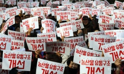 도매시장 위법·탈법, 다시 수면 위로