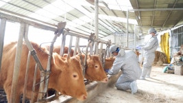 방역사 근무여건 점차 개선 … 조직구조 문제는 여전