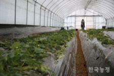 텅 빈 논 따라, 인적마저 사라진 농촌체험마을의 겨울