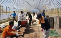 통일의 씨를 심는 못자리