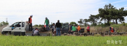 제주 마을공동체, 돌담으로 하나 되기