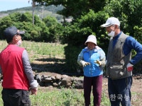 제주 마을공동체, 돌담으로 하나 되기
