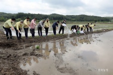 남북농민과 두루미 위한 만남의 광장, 통일경작지