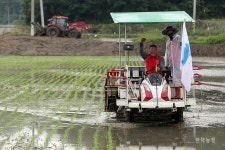 자, 다시 통일농업이다