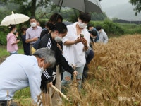 얼굴있는 빵 굽는 청주 미원면 산골마을 사람들