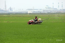 비료 단가 인상설 솔솔? … 농협선 확정된 바 없다 일축