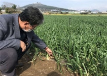 재배면적 전수조사, 허황된 꿈일까