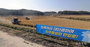 쌀부터 통일하자 연천 평화농장서 통일쌀 추수