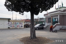 농촌 살릴 대선 후보는 누구?