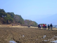 지리산 둘레길, 그 길 위에서 만난 봄