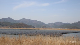 지역 상생 내세운 고흥 해창만 수상태양광, 물밑선 논란 계속