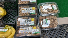 정신줄 놓은 농협 … 하나로마트 수입농산물 판매 활개