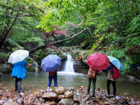 한여름에 만난 지리산 계곡들