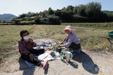 새참은 농로에서 먹어야 제맛!