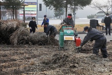 콩대·깨대 파쇄 지원 너무 좋다!