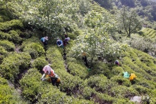 농업유산 보전 위한 국립농업박물관의 역할은?
