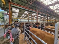 강원도 축산기술연구소, 소 자가인공수정 기술교육 성료