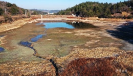 바닥 드러낸 전남 저수지 … 자구책 찾는 농민들