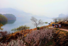 봄날, 하동호 둘레길에서 화양연화를…