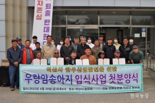 좋은 암소 받고, 나도 송아지 한 마리 나눠준다면