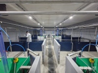 민·관 함께 세운 안성맞춤형 새 돈사, 정말 냄새가 안 나네