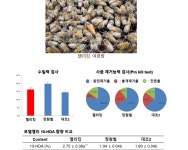 로열젤리 다수확 꿀벌, 양봉농가 생산성 제고 기대